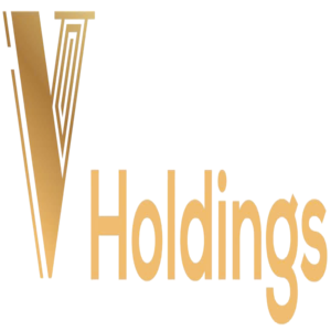 Vㅤ Holdings