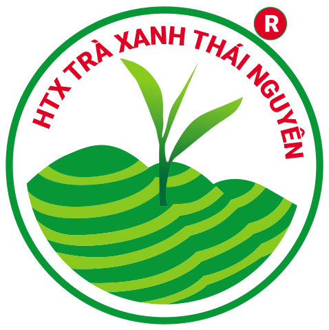 Trà Thái Nguyên Tân Cương