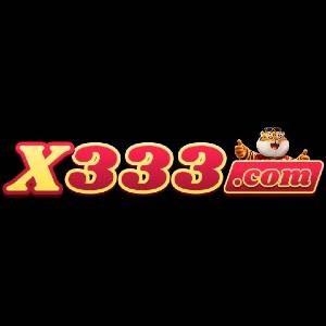 x333